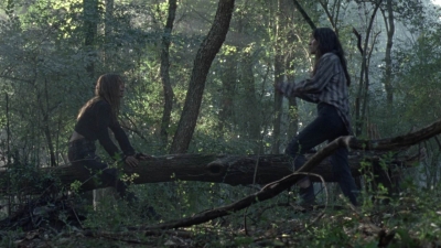 twd1012_1113.jpg