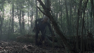 twd1012_1182.jpg