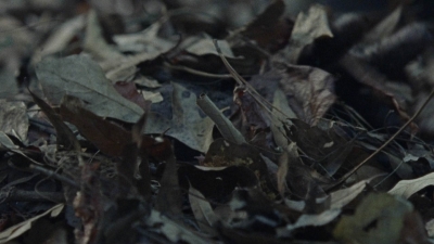 twd1012_1190.jpg