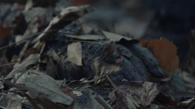 twd1012_1195.jpg