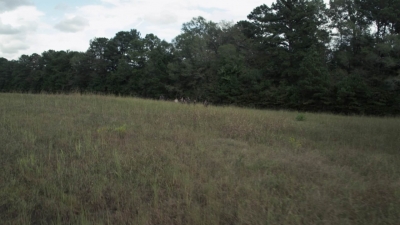 twd1012_1394.jpg
