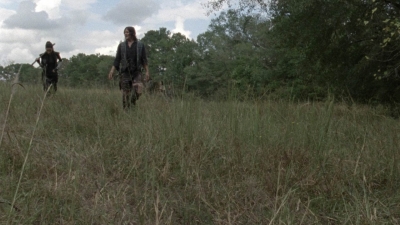 twd1012_1400.jpg