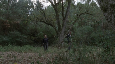twd1012_2215.jpg