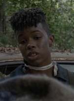 twd1012_0554.jpg