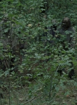 twd1012_0772.jpg