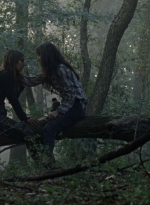 twd1012_0974.jpg