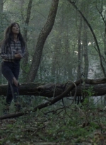 twd1012_1062.jpg