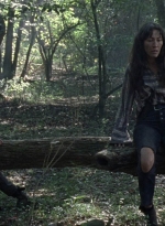 twd1012_1132.jpg
