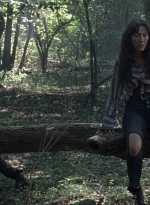 twd1012_1133.jpg