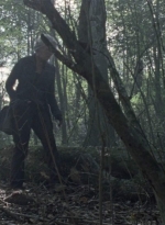 twd1012_1181.jpg