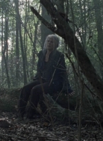 twd1012_1183.jpg