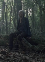 twd1012_1187.jpg