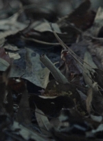 twd1012_1190.jpg