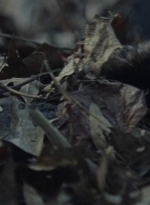 twd1012_1191.jpg