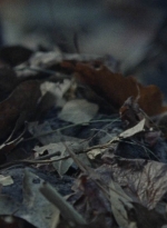 twd1012_1194.jpg