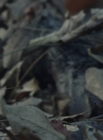 twd1012_1196.jpg
