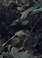 twd1012_1197.jpg