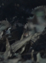 twd1012_1198.jpg