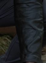 twd1012_2349.jpg