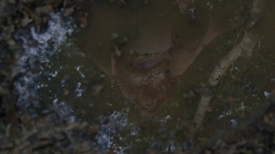 twd1013_0005.jpg