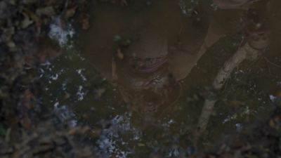 twd1013_0006.jpg