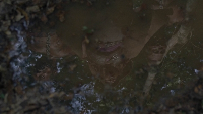 twd1013_0007.jpg