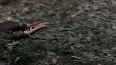 twd1013_0012.jpg