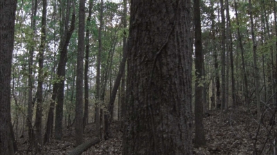 twd1013_0027.jpg