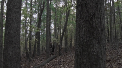 twd1013_0028.jpg