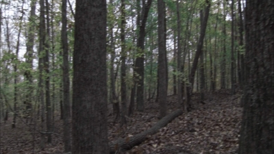 twd1013_0029.jpg