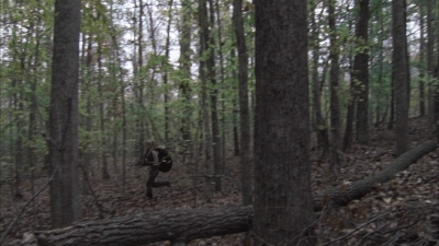 twd1013_0030.jpg