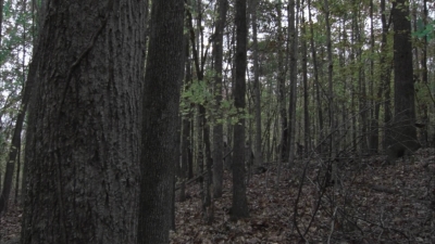 twd1013_0034.jpg