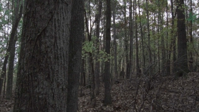 twd1013_0035.jpg