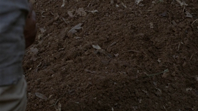 twd1013_0534.jpg