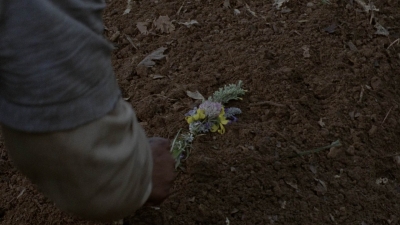 twd1013_0537.jpg