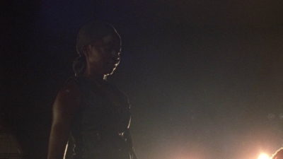 twd1013_1393.jpg