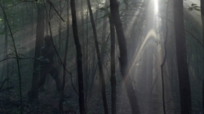 twd1013_1411.jpg