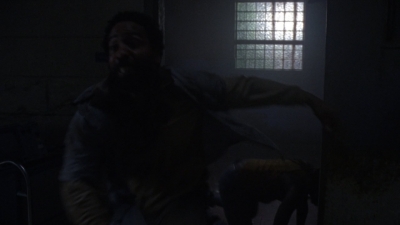 twd1013_1483.jpg