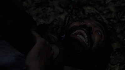 twd1013_1503.jpg