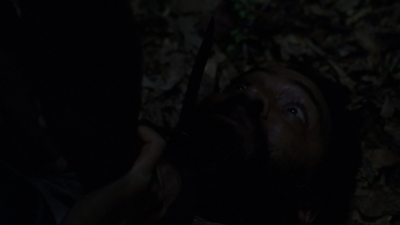 twd1013_1506.jpg