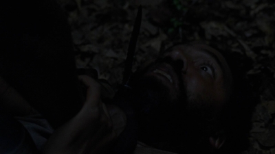 twd1013_1507.jpg