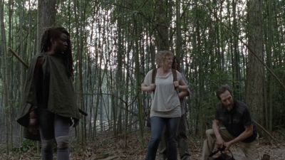twd1013_1995.jpg