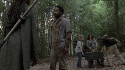 twd1013_2007.jpg