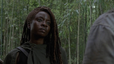 twd1013_2011.jpg