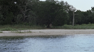 twd1013_2055.jpg