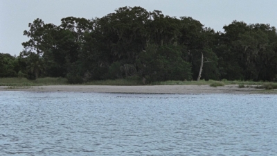 twd1013_2065.jpg