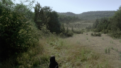 twd1013_2449.jpg