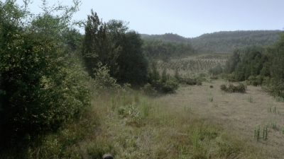 twd1013_2450.jpg