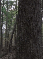 twd1013_0027.jpg