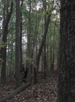 twd1013_0028.jpg